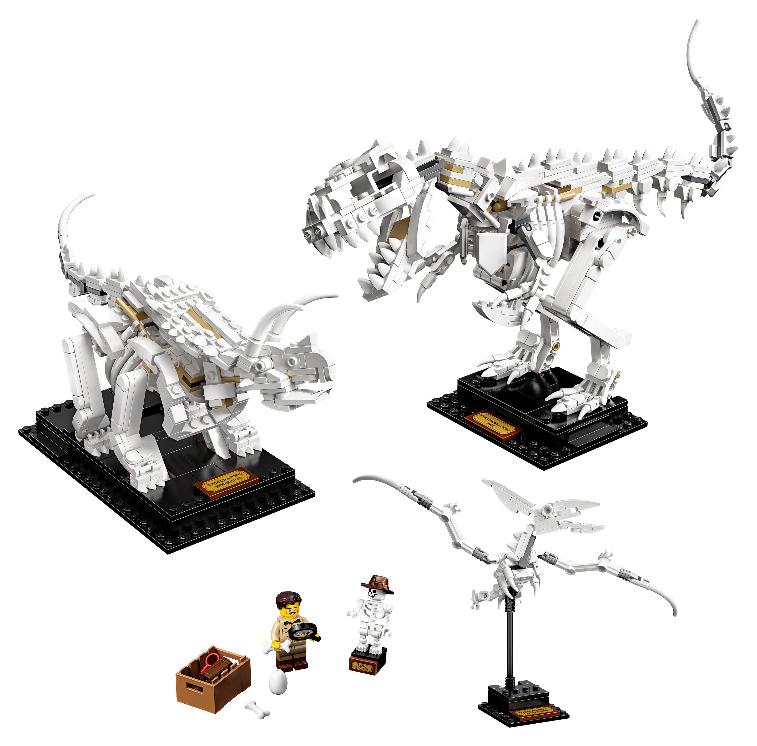 Lego fossiles dinosaures